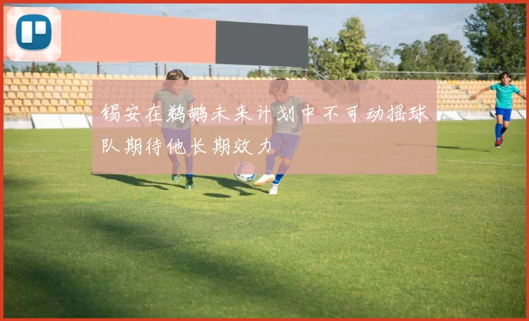 锡安在鹈鹕未来计划中不可动摇球队期待他长期效力